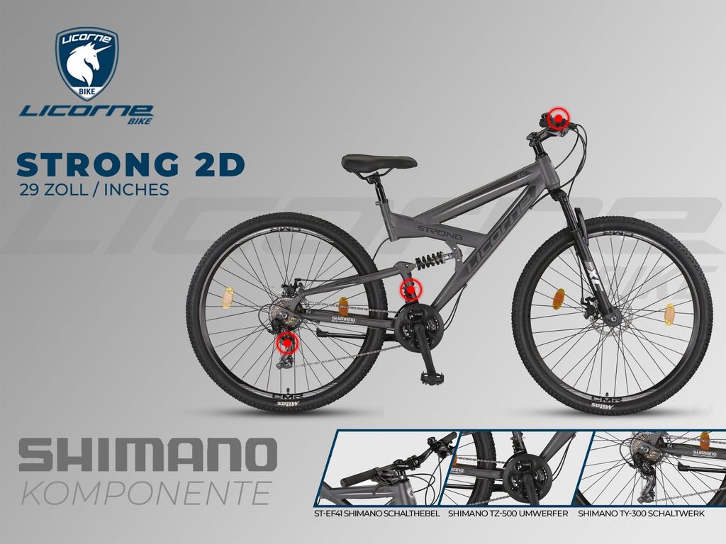 Licorne Bike Strong 2D Premium Mountainbike Produktbild 