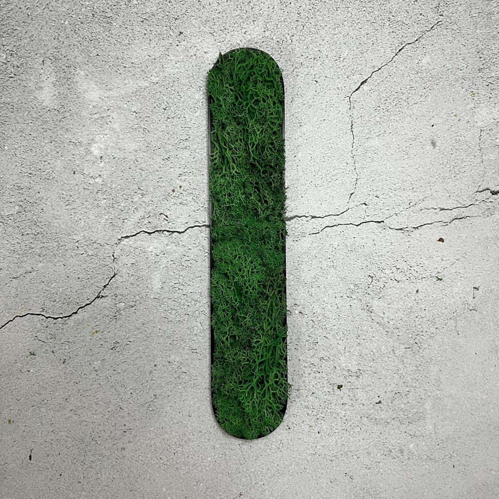 Islandmoos – Set MOIN Grasgrün Produktbild 7