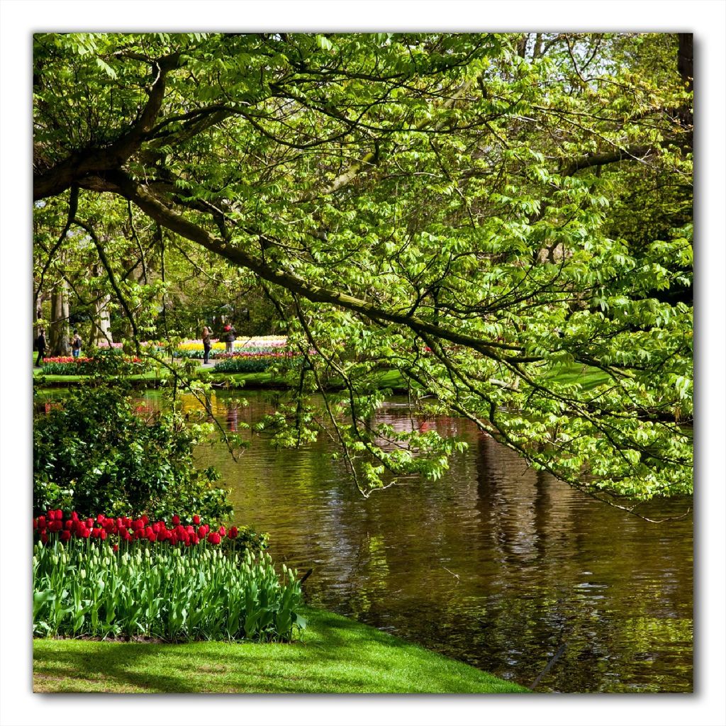 Wallario selbstklebende Möbelfolie/ Tischdecke für Innen und Außen, Größe: 80 x 80 cm - Bunte Blumen im Park am Wasser - Frühblüher am Ufer