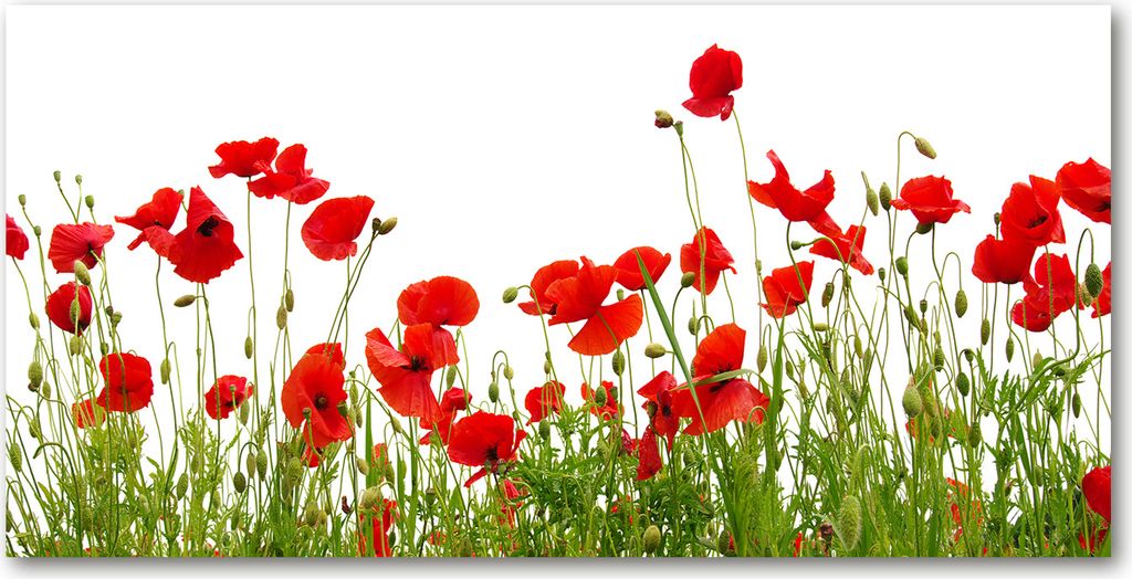 Tulup Glas-Bild -140x70- Wandkunst Dekorative Wand für Küche & Wohnzimmer - Blumen & Pflanzen - Mohnblumen - Rot
