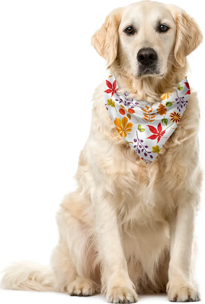 Bandana Cane ABAKUHAUS Autunnale Arancio Vermiglio Foglie 55x55