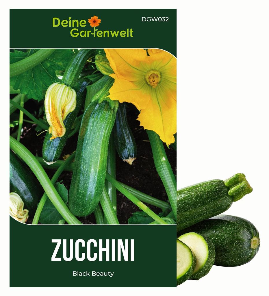 Zucchini Black Beauty Samen - Cucurbita pepo - Produktbild 