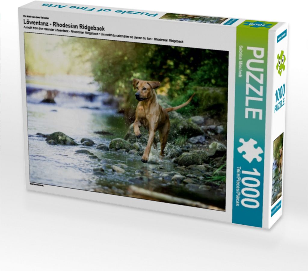 CALVENDO Puzzle Ein Motiv aus dem Kalender Löwentanz - Produktbild 