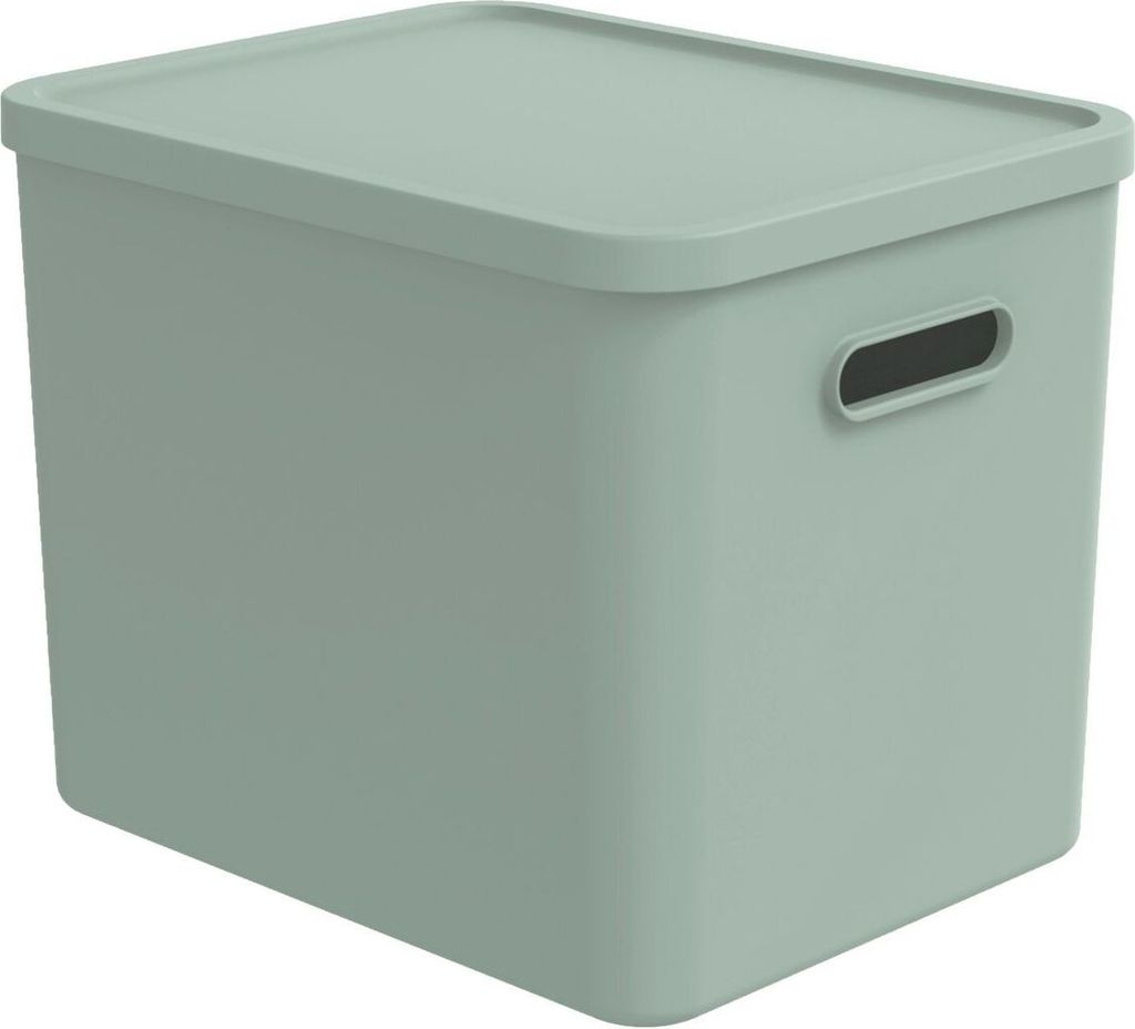 Rotho Babydesign Contenitore L Kayo 27 l Immagine del prodotto 