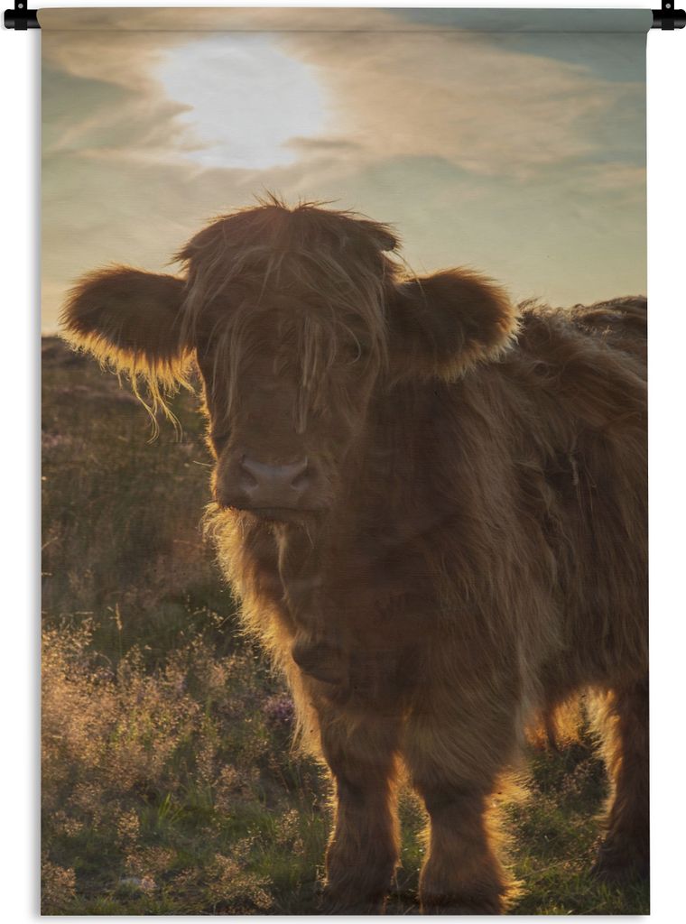 MuchoWow Wandteppich Wandbehang Schottischer Highlander - Sonnenuntergang - Gras 90x135 cm Tapisserie Dekoration Wandtuch - Baumwolle - Wandskulptur