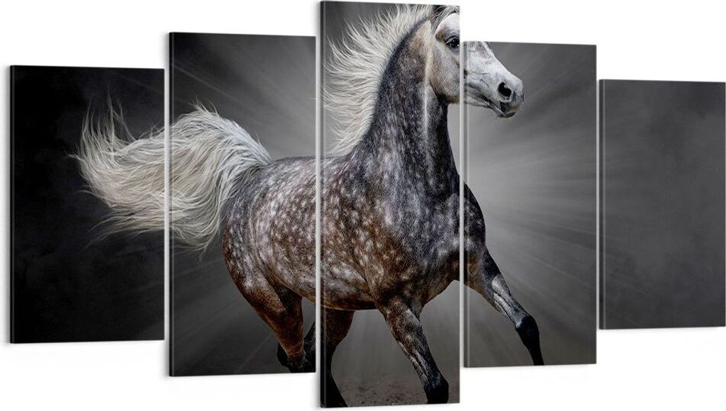 Bild auf Leinwand - Leinwandbild - Pferd Tier Natur - 160x85cm - Wand Bild - Wanddeko - Wandbilder - Leinwanddruck - Bilder - Kunstdruck - Wanddeko...