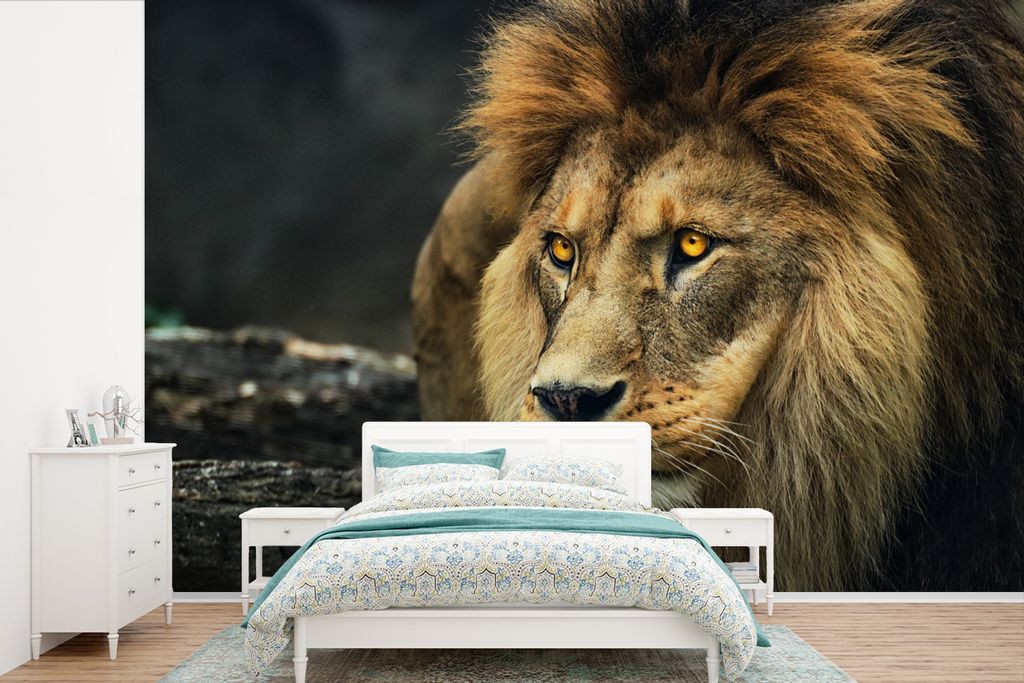 MuchoWow Fototapete für Wohnzimmer oder Schlafzimmer Wandtapete Vinyl Motivtapete Löwe - Porträt - Wild - 525x350 cm - Das Hintergrundbild
