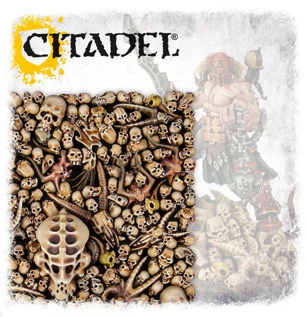 Warhammer - Citadelle : Crânes (64-29) Image du produit 
