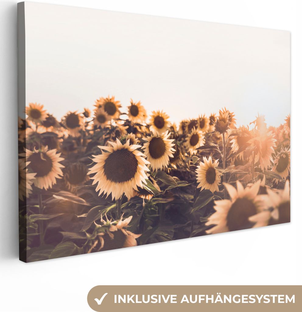 OneMillionCanvasses - Leinwandbilder - 140x90 cm, Sonnenblumen - Feld - Sonnenuntergang - Blumen - Gelb, Wandbilder Kunstdruck Wanddekoration - F...