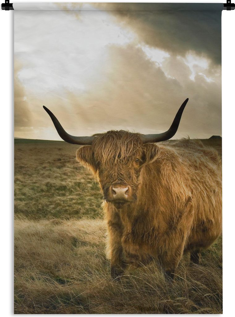 MuchoWow Wandteppich Wandbehang Schottischer Hochländer - Sonne - Gras 90x135 cm Tapisserie Dekoration Wandtuch - Baumwolle - Wandskulptur