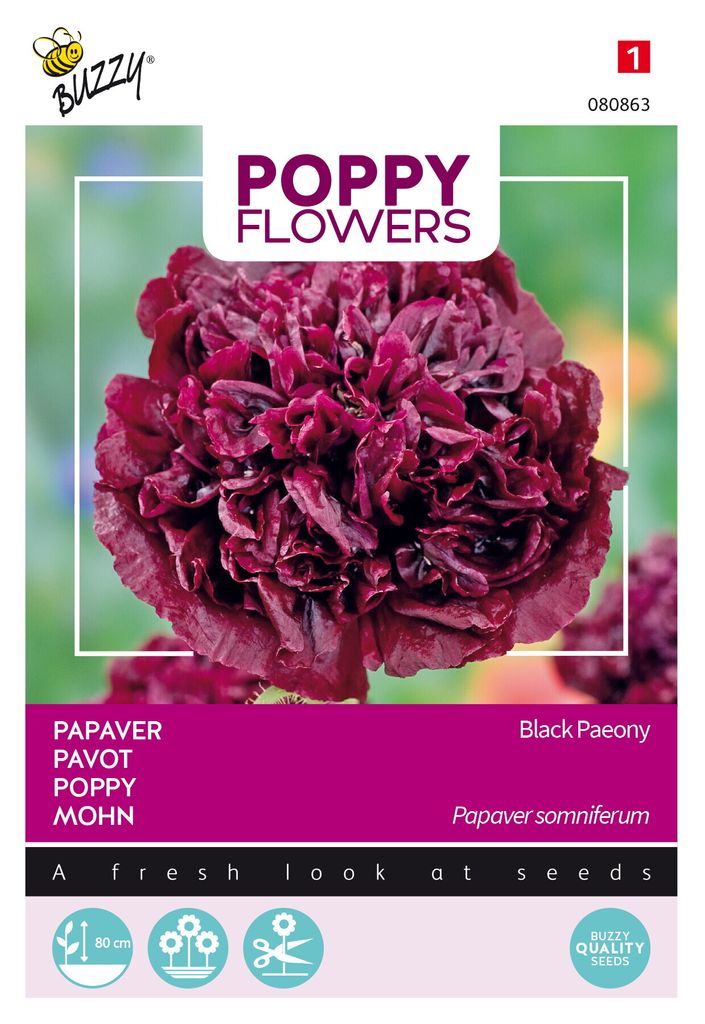 Buzzy Poppy Flowers Mohn Black Paeony Samen - Ca. 0,08 gr | Produktbild 