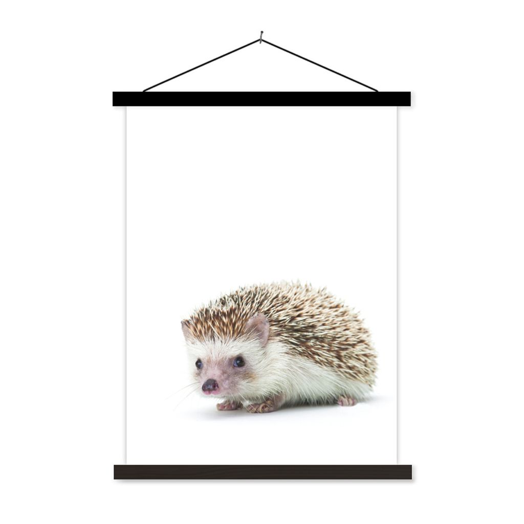 MuchoWow Textilposter Igel - Tiere - Weiß 120x160 cm mit schwarzem Rahmen - Magnetischer