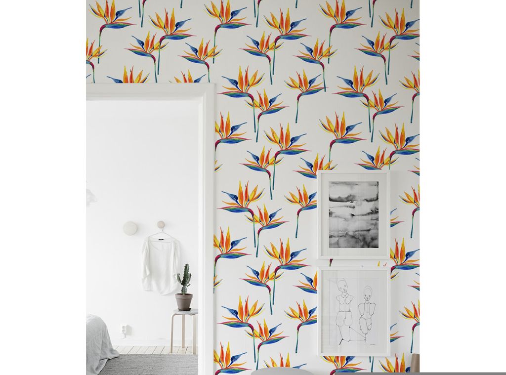 Coloray Fototapete 152x104 cm Latextapete Magicstick - Bird Produktbild 