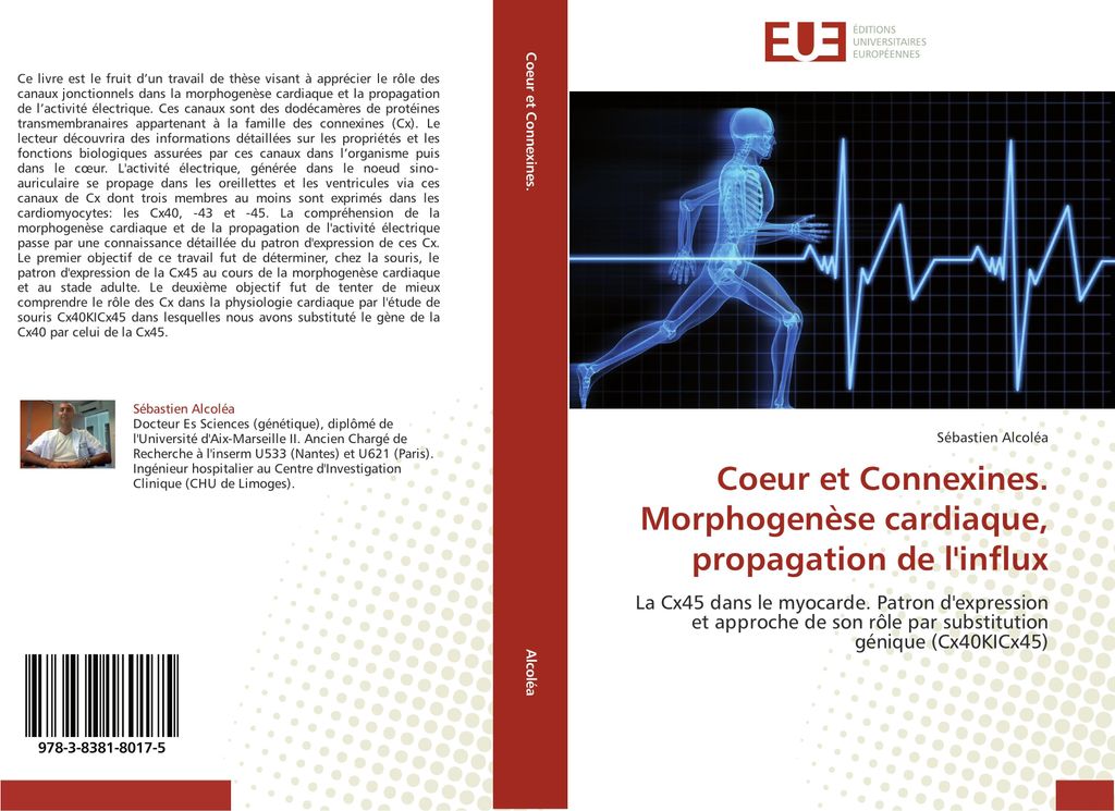 Coeur et Connexines. Morphogenèse cardiaque, propagation de l'influx