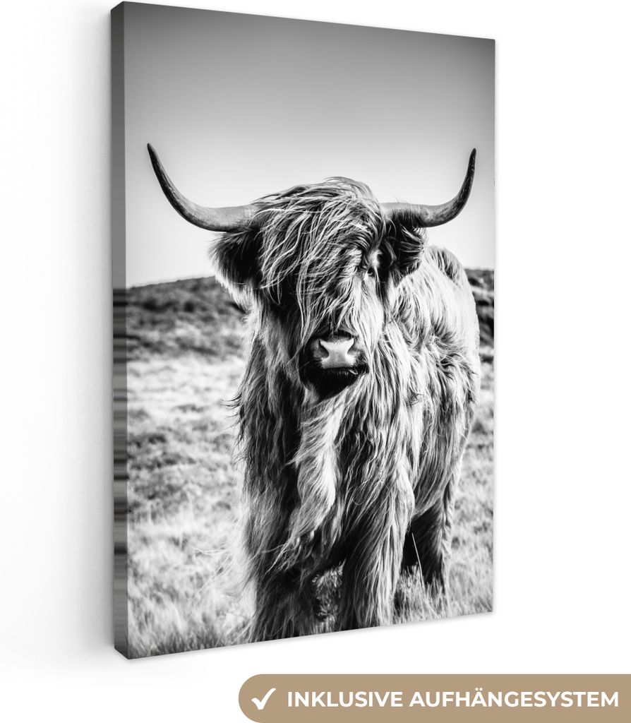 OneMillionCanvasses® - Plátno - Skotský horal - Příroda - Obrázek produktu 