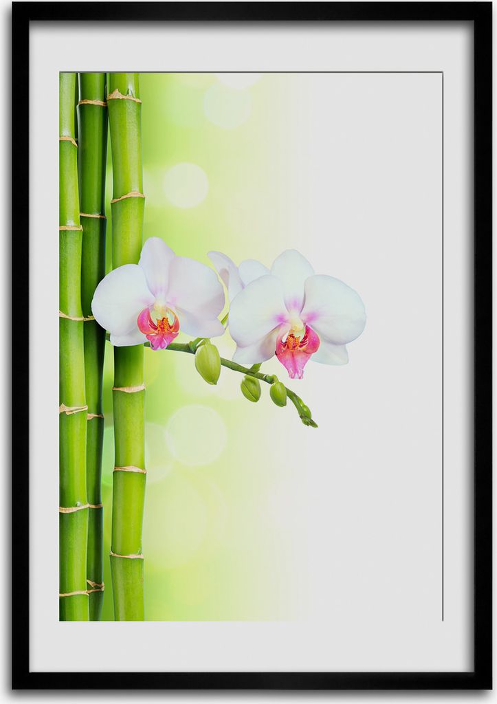 Bild - Bilderrahmen - 50 cm x 70 cm - MDF - Rahmen - Wandkunst Orchidee und Bambus