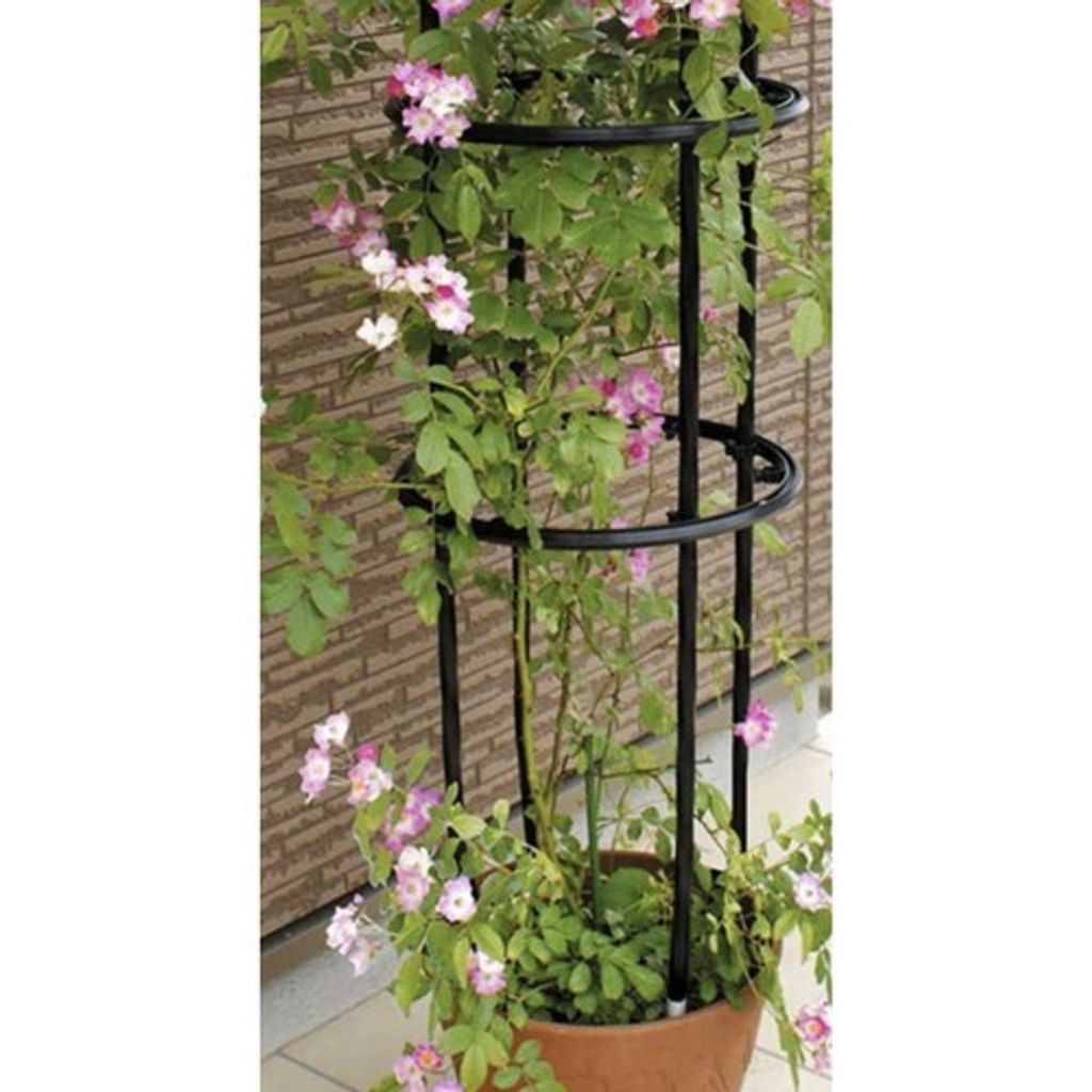 Gardlov 21029 Oblouk na květiny 16657 Obrázek produktu 6