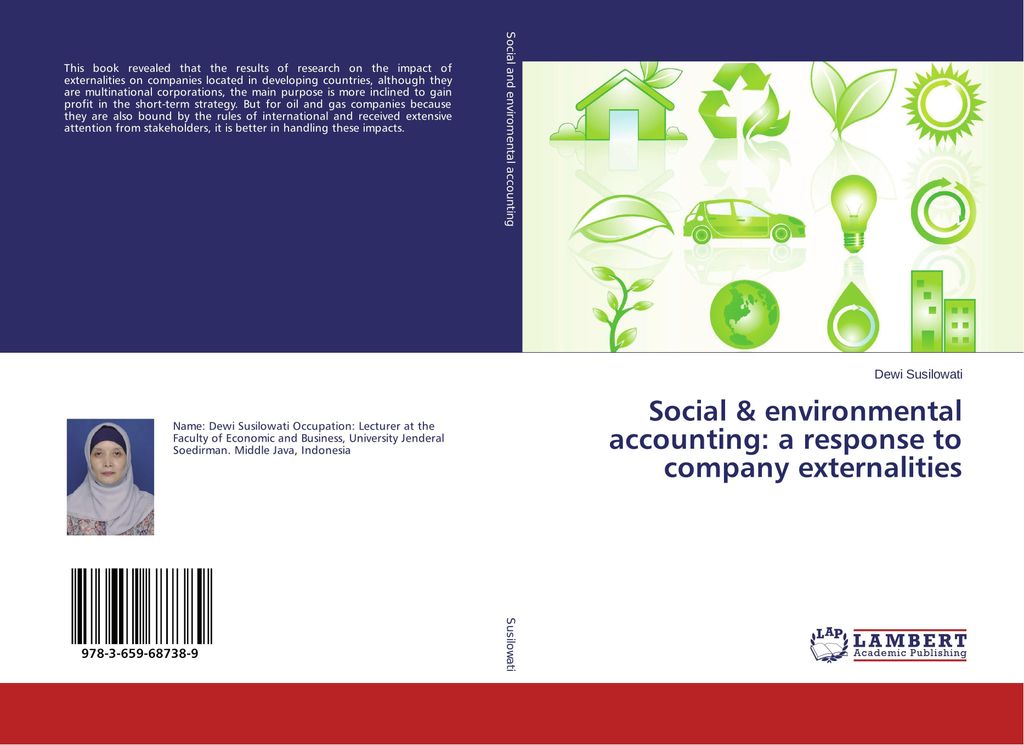 Social & environmental accounting: a response to company externalities