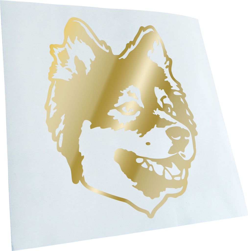Kiwistar - Autoaufkleber - Finnish Lapphund Hund - Goldchrom - 40x31cm - Aufkleber für Auto, Laptop, Fahrrad, LKW, Motorrad Mehrfarbig JDM Decal R...
