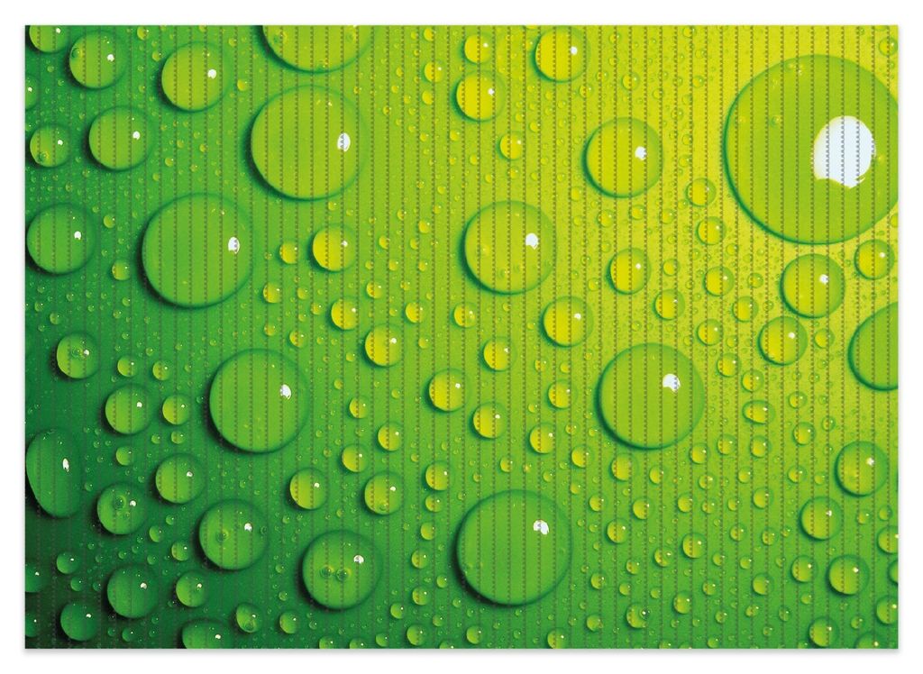 Wallario Duschmatte Antirutschmatte Badmatte Fußmatte Wassertropfen auf Grün, Größe ca. 70 x 50 cm