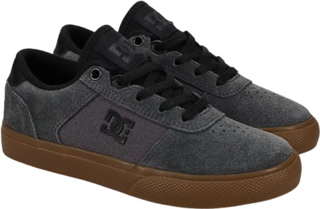 DC Shoes Teknic Gris et Gomme Taille 33,5 - Basket de Skate Technique