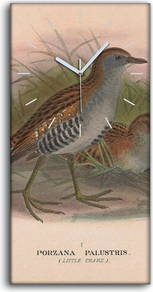 Dekor Leinwand Uhr Wandbilder Geräuschlos 30x60 Vögel Wild Tiere Zeichnung Kunst - weiße Hände