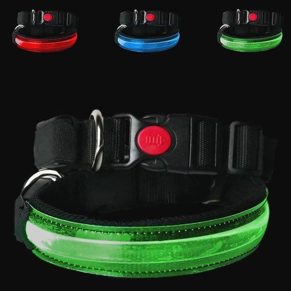 Collier lumineux pour chien rechargeable USB - Accessoire sécurité LED