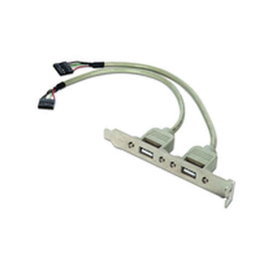 USB PLUG IN Halterung 2XA (CCUSBRECEPTACLE)