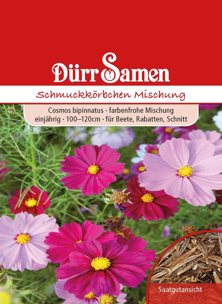Dürr-Samen - Cosmea Prachtmischung annuale 100-120 cm - Immagine del prodotto 