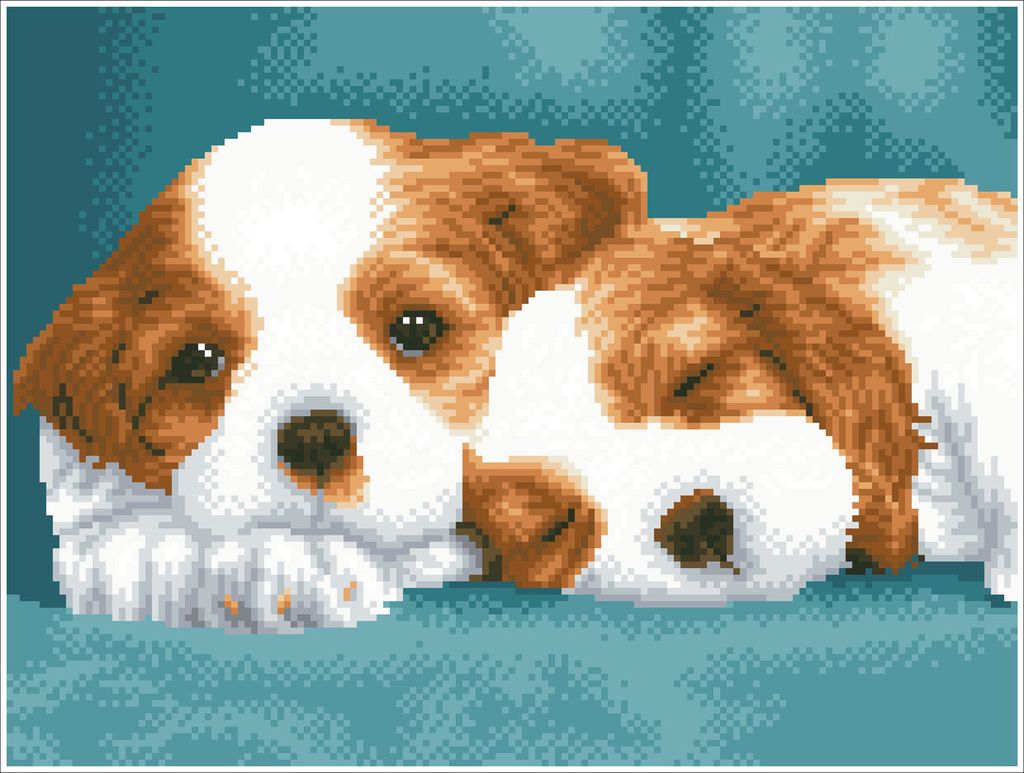 Little Champs Diamond Dotz: 31x41 cm