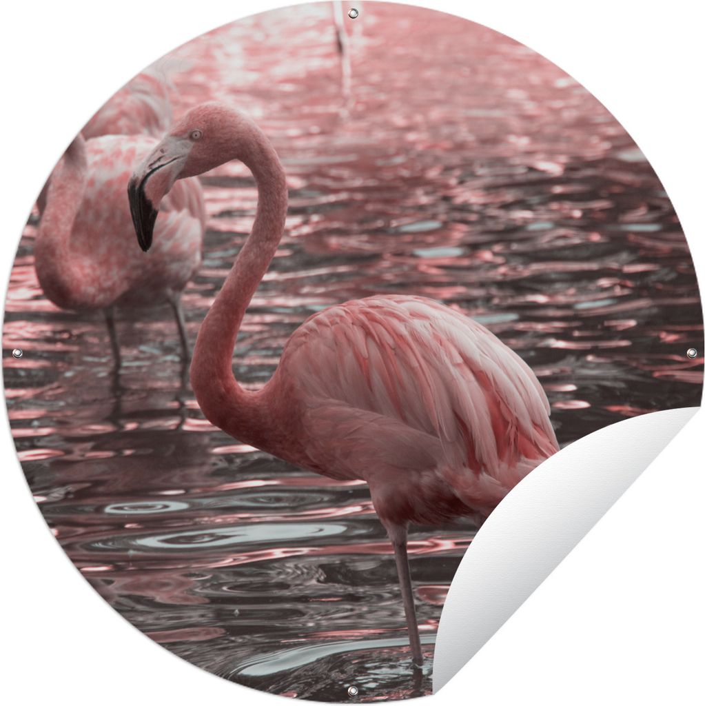 MuchoWow Gartenposter Outdoor-Poster Rund Eine Gruppe von Flamingos steht im Wasser Ø 90 cm Gartendeko Rundes Poster draußen