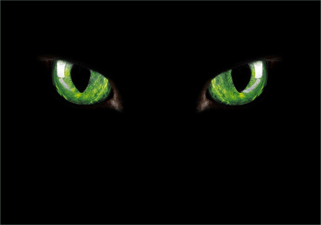 Wallario Poster - Grüne Katzenaugen bei Nacht, Kunstdruck Größe: 70 x 100 cm