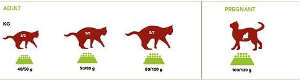 AMI CAT Alleinfuttermittel für Katzen 7,5 kg