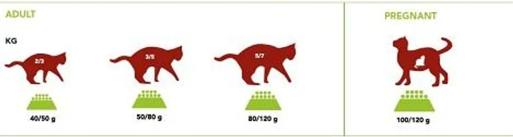 Ami Cat 7,5kg Crocchette Gatti 100% Vegetali - Salute e Etica