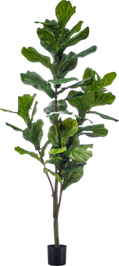 Green boutiQ - kunstplant - Ficus Lyrata - Tabaksplant - 150cm - Grün - Pflegeleicht - Hohe Qualität