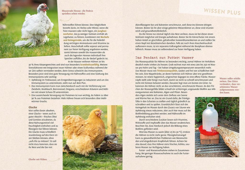 Hilfe, mein Huhn niest! Obrázek produktu 
