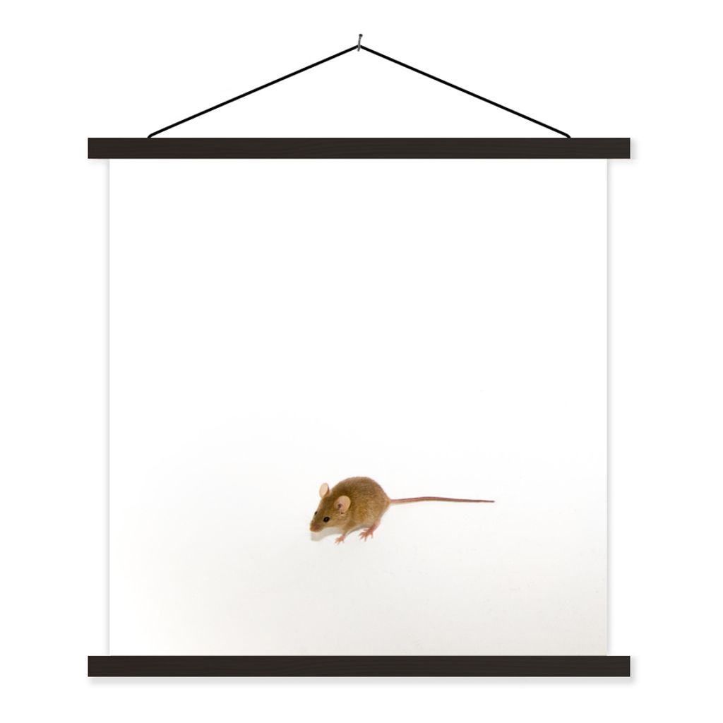 MuchoWow Textilposter Maus - Tiere - Weiß 90x90 cm mit schwarzem Rahmen - Magnetisches