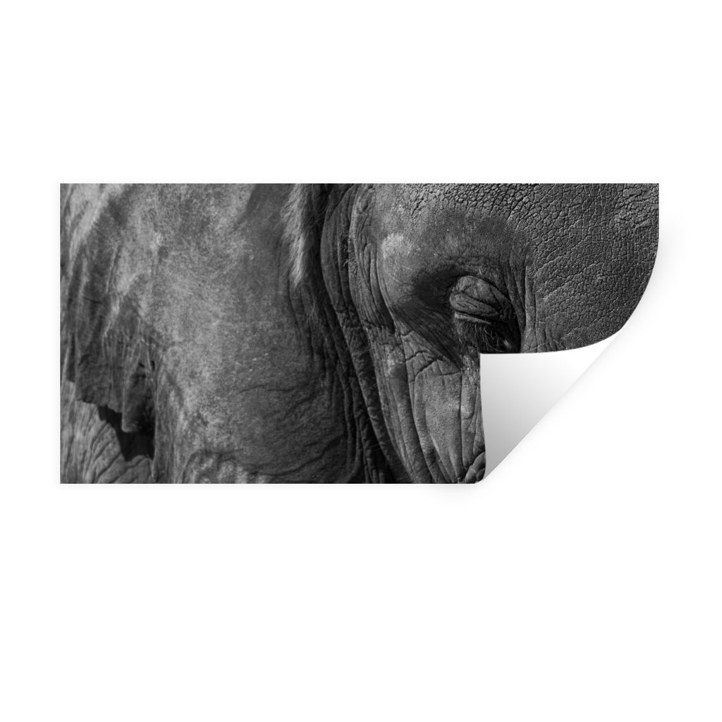 MuchoWow Wandtattoo Wandsticker Wandaufkleber Elefant - Tiere - Nahaufnahme - Schwarz-Weiß 40x20 cm Selbstklebend und Repositionierbar - Aufkleber
