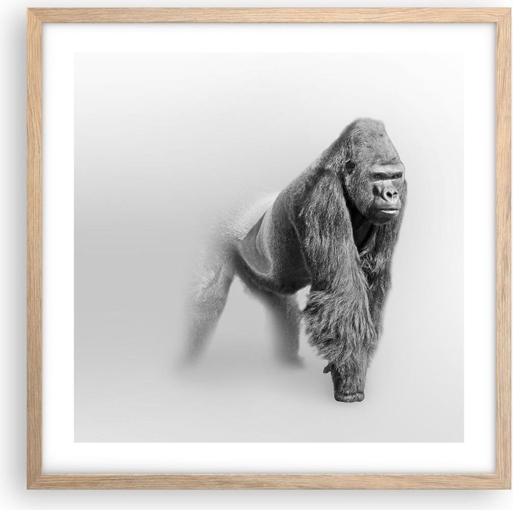 Gerahmtes Poster - Rahmen in heller Eiche - Orang-Utan Tier - 50x50 cm - Wand Bild - Wanddeko - Wandbilder - Kunstposter - Wandposter - Bilderrahme...