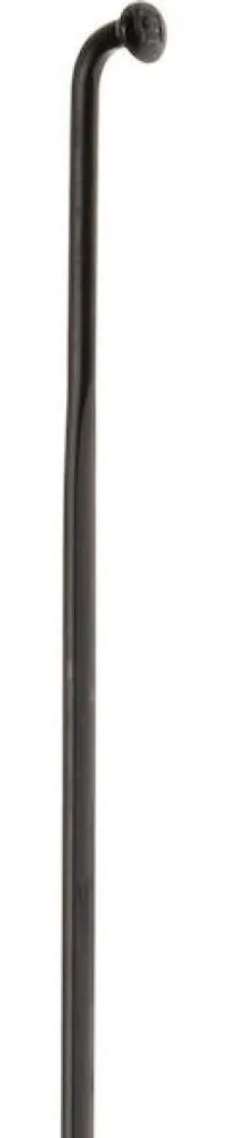 Rayons de rechange performants DT Swiss Aerolite 300 mm noir