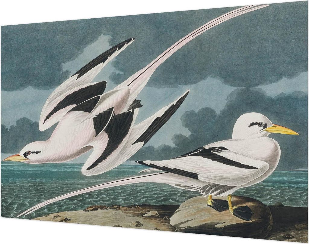 Wandtapete - Dekorative Tapete für Wohnzimmer- Tapetenfolie für Wanddekoration - 104x70 cm - Vögel am Meer