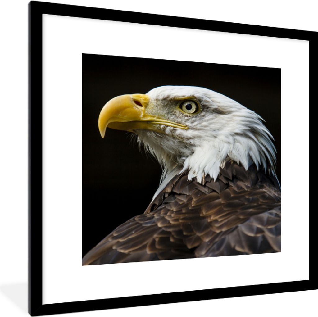 MuchoWow MuchoWow Gerahmtes Poster Adler - Vogel - Gelb 40x40 cm - Poster mit zchwarzem Bilderrahmen - Poster - Plakat im Rahmen