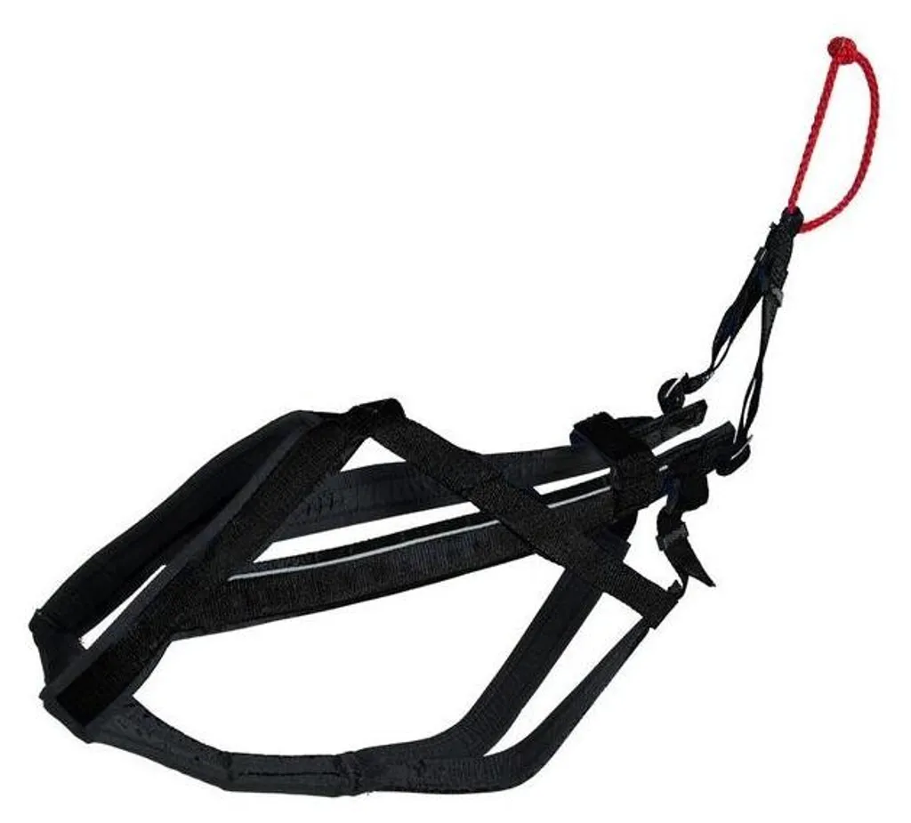 Harnais de Course Ergonomique XL - Confort Rembourré et Haute Résistance