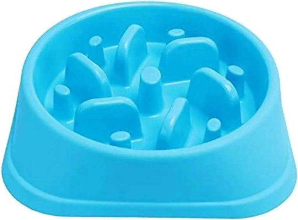 Gamelle anti-glouton contre constipation | Écuelle anti-ballonnement