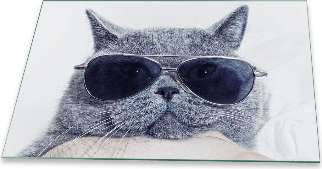 Herdabdeckplatte Glaskeramik 1 Teilig 80x52 Katze Grau Abdeckung Glas Spritzschutz