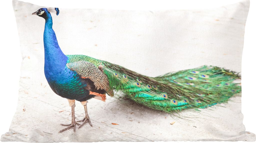 MuchoWow Zierkissen Sofakissen Wohnzimmer Dekokissen 50x30 cm Pfau - Sand - Federn - Blau - Wohnzimmerdekoration - Polster mit Photo