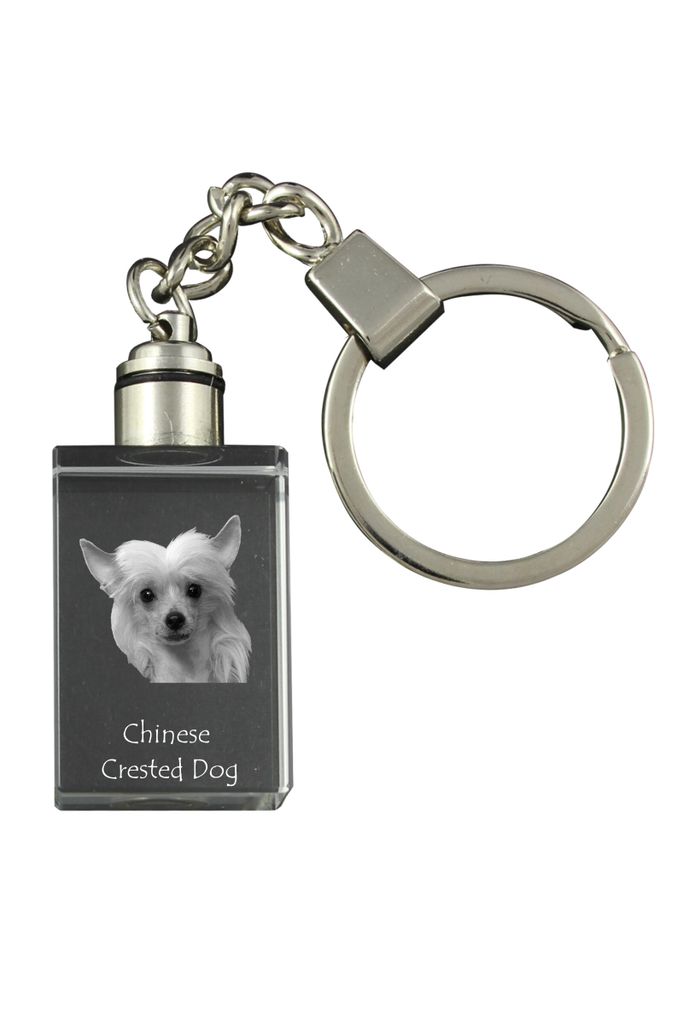 Chinesischer Schopfhund - Schlüsselanhänger aus Kristall mit Hundefoto, beleuchteter Schlüsselanhänger, einzigartiges Geschenk der Marke Art-Dog