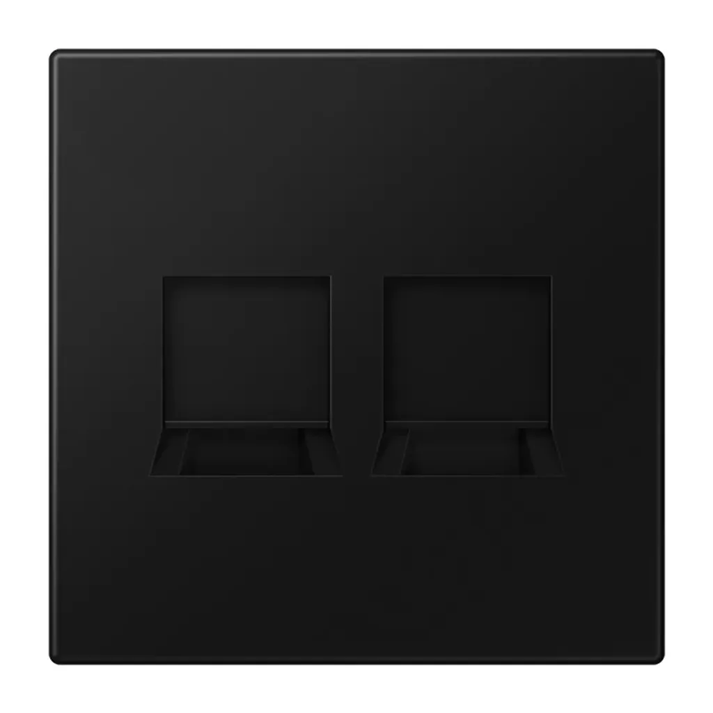 Cache Jung LS1969-2WESWM Noir Graphite Mat pour Prises Jack Modulaires