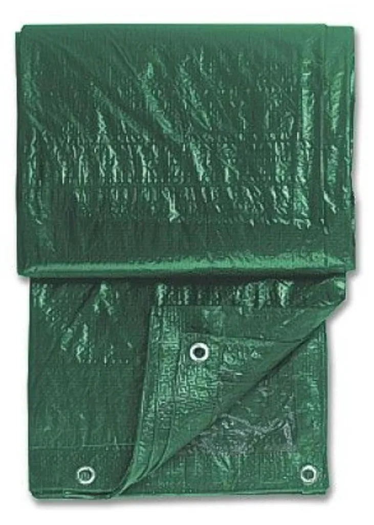 Bâche de jardin polyvalente verte 4x6 m avec œillets de fixation fixe