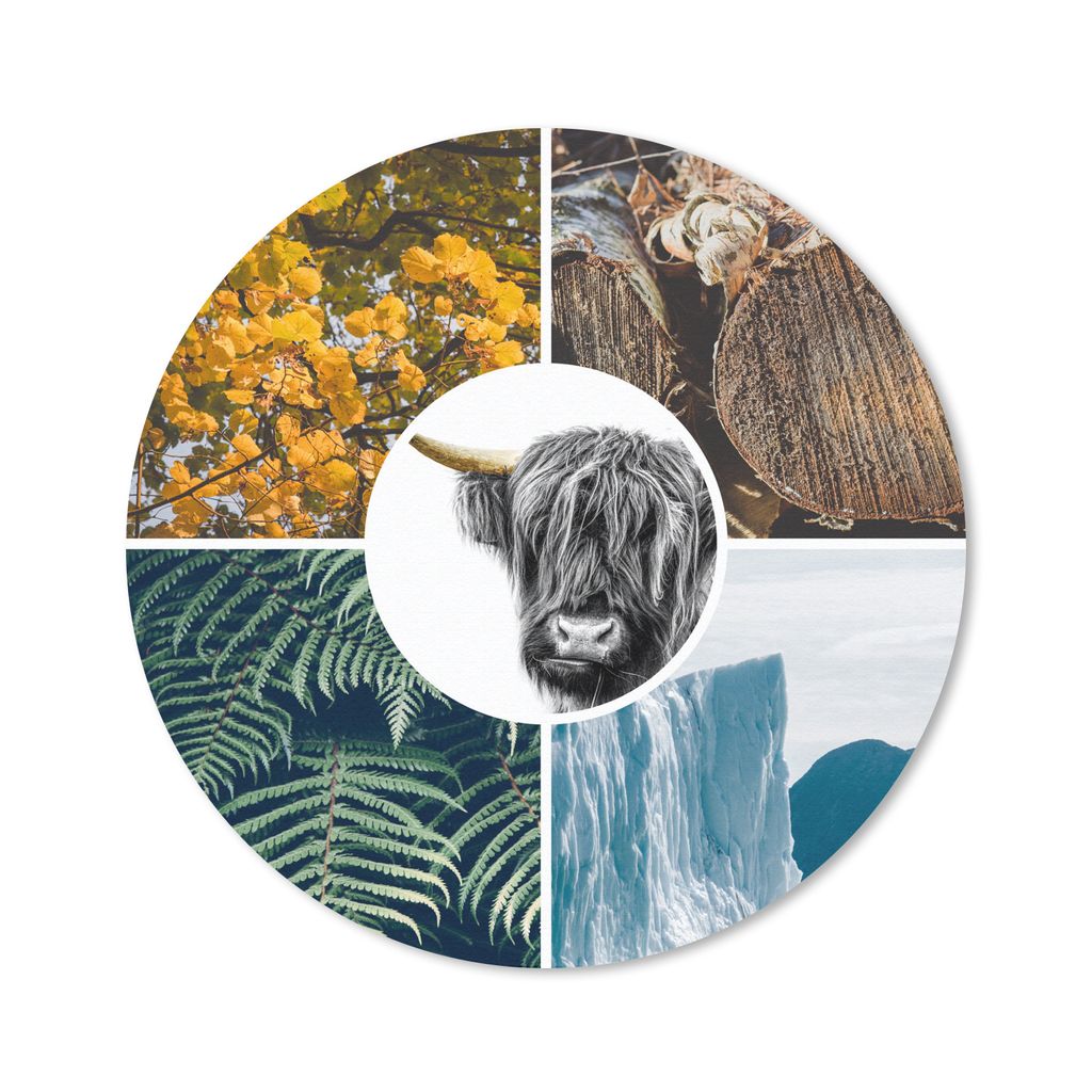 MuchoWow Mauspad Mousepad Schottische Highlander - Collage - Pflanzen - Baum 20x20 cm - Mousepads - Maus Mat - Pad - Mausunterlage - Schreibtisch...